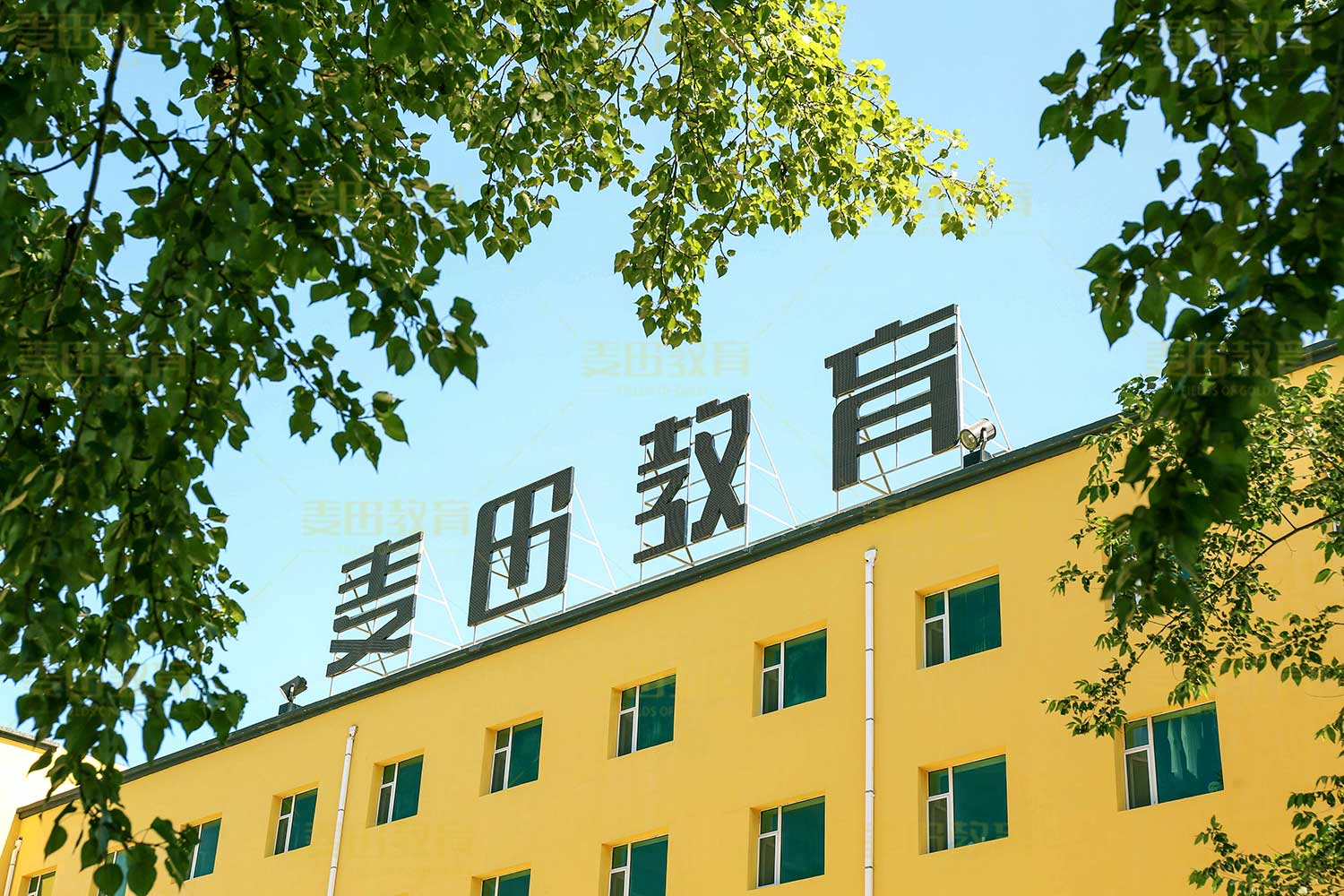 长春高考全日制文化课培训学校哪里好